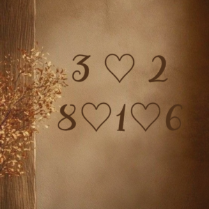 Porodična numerološka analiza