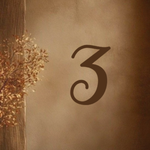 Numerološka analiza naredne tri godine
