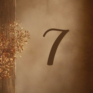 Numerološka analiza narednih 7 godina